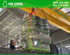 Chuyển giao máy đá viên 1 tấn tại Ninh Thuận