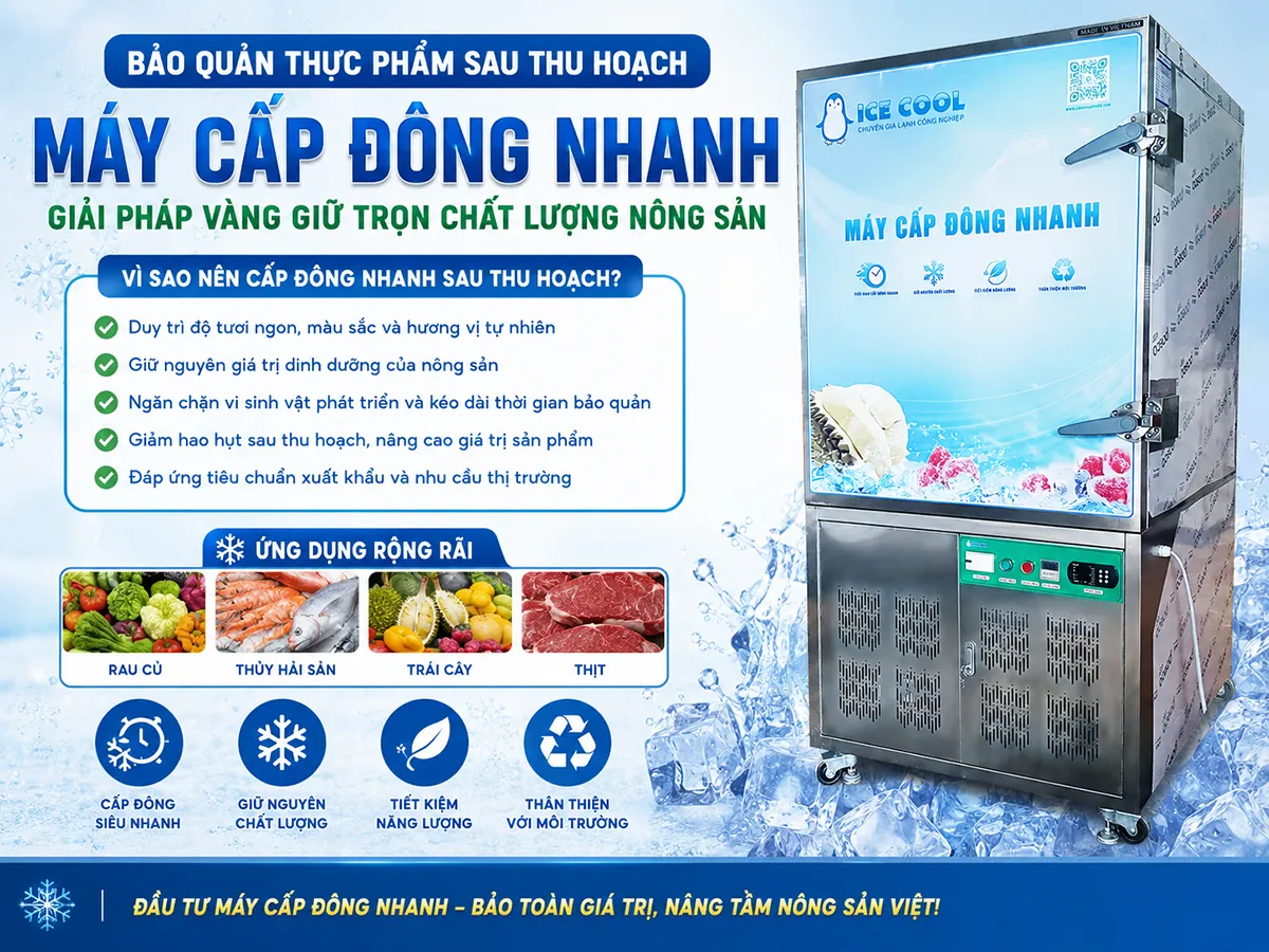 Máy cấp đông nhanh giúp bảo quản thực phẩm sau thu hoạch là giải pháp hiệu quả giúp duy trì độ tươi ngon, giảm hao hụt và kéo dài thời gian sử dụng của nông sản và thủy sản
