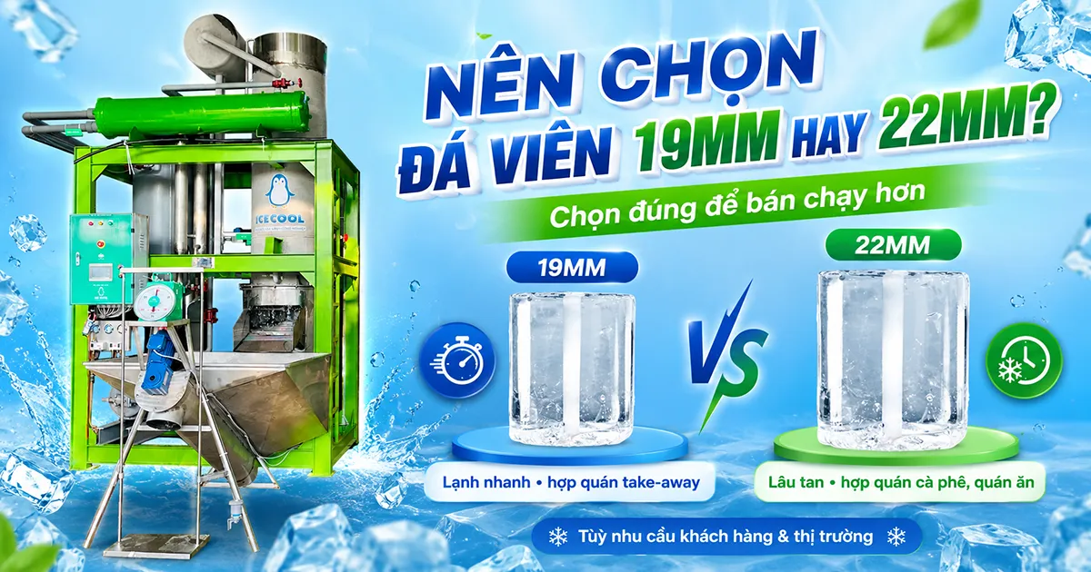 Nên chọn đá viên 19mm hay 22mm phụ thuộc vào nhu cầu thị trường, mỗi loại đều có lợi thế riêng trong kinh doanh.